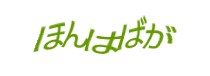 Authentication image